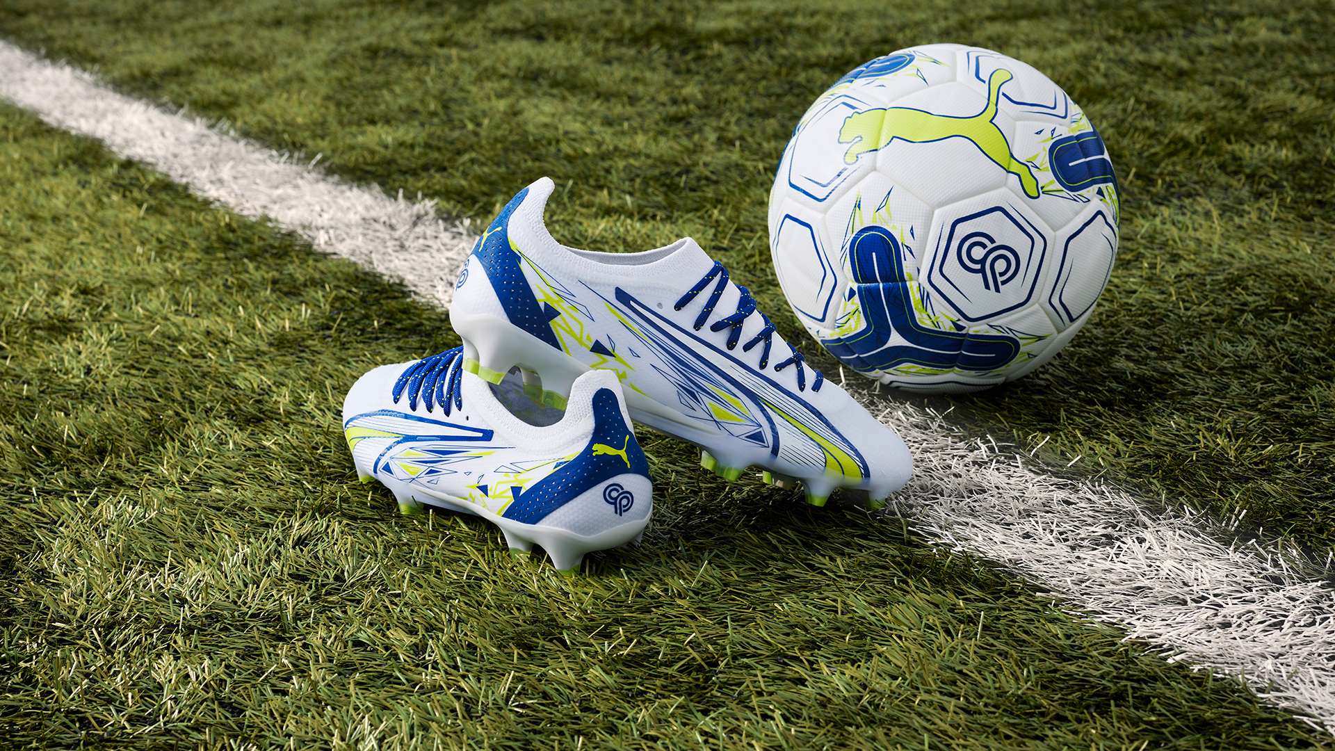 找到了机会 找到了机会